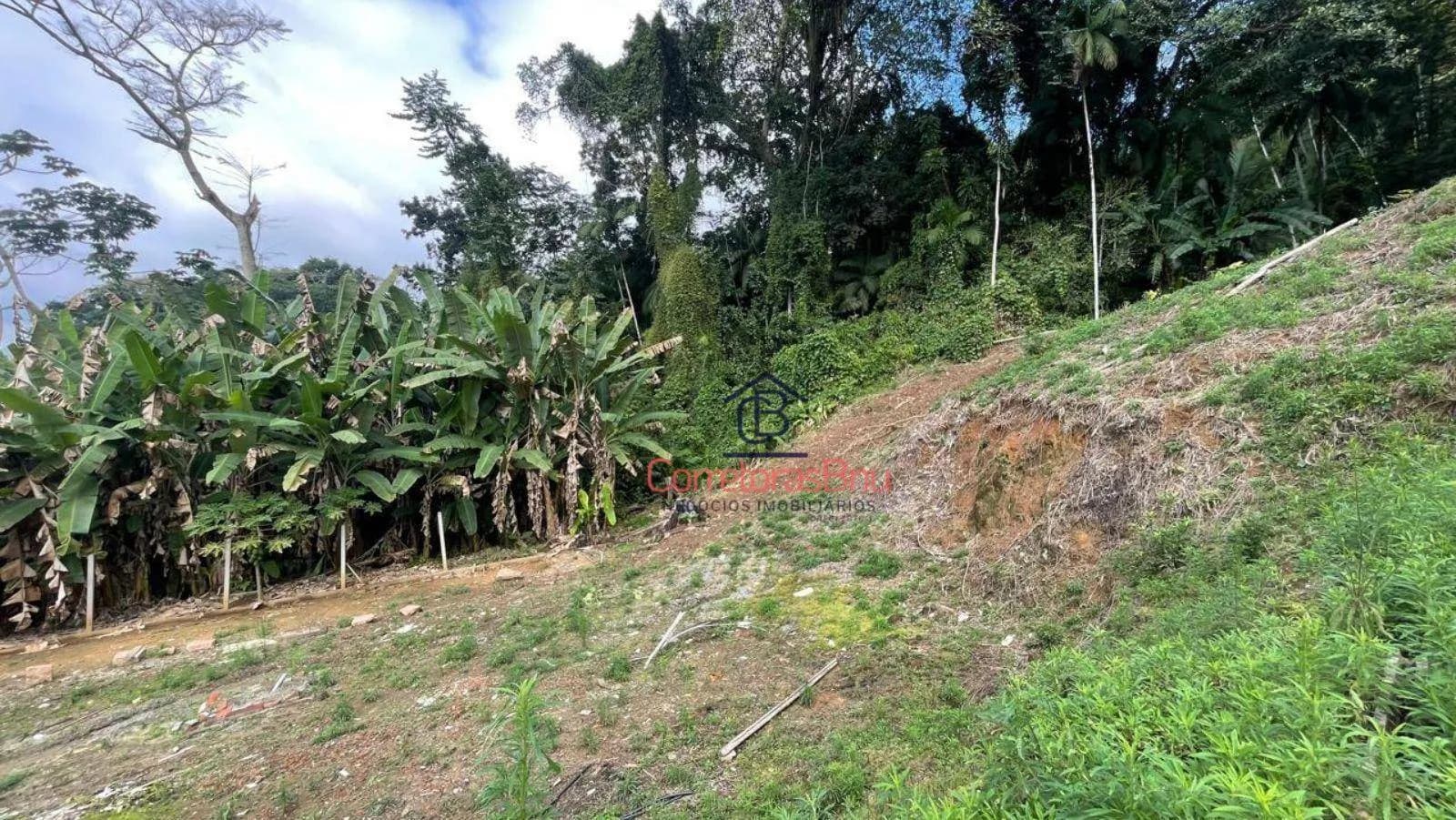 Foto de Terreno à venda, 4686 m² por R$ 600.000,00 - Velha - Blumenau/SC