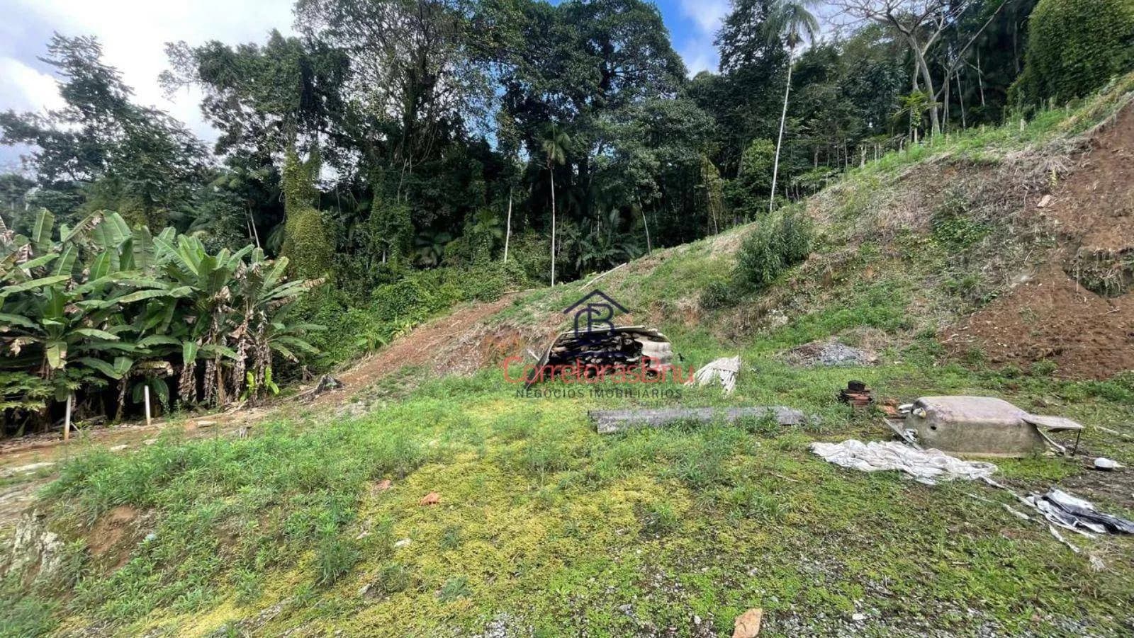 Terreno à venda, 4686 m² por R$ 600.000,00 - Velha - Blumenau/SC